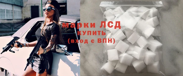 прущие грибы Медвежьегорск