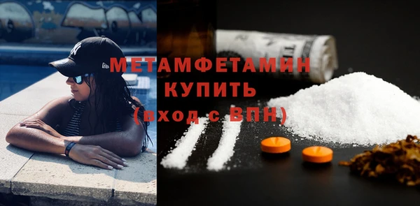 прущие грибы Медвежьегорск