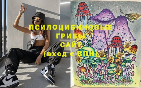 молекула духа Медногорск