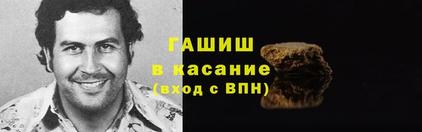 прущие грибы Медвежьегорск