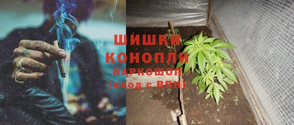 молекула духа Медногорск