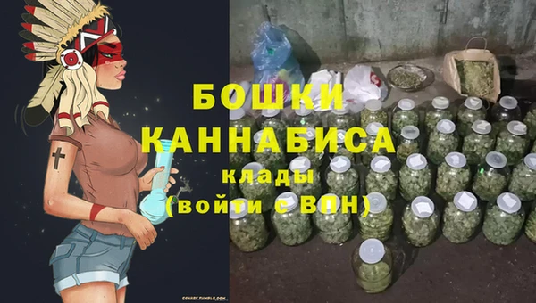 дживик Алапаевск