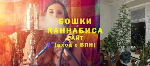 прущие грибы Медвежьегорск