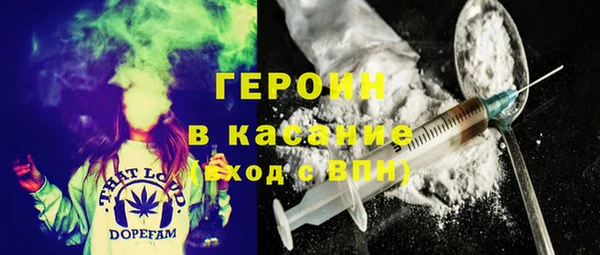 прущие грибы Медвежьегорск