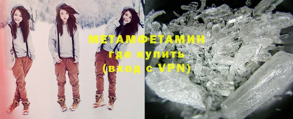 прущие грибы Медвежьегорск