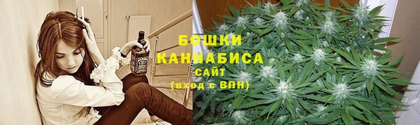 прущие грибы Медвежьегорск
