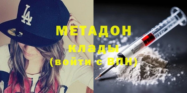 прущие грибы Медвежьегорск