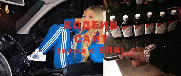 прущие грибы Медвежьегорск