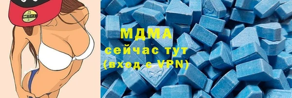 прущие грибы Медвежьегорск