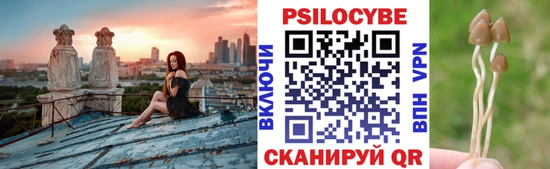 цена наркотик ОМГ ОМГ как войти Галлюциногенные грибы мицелий Учалы