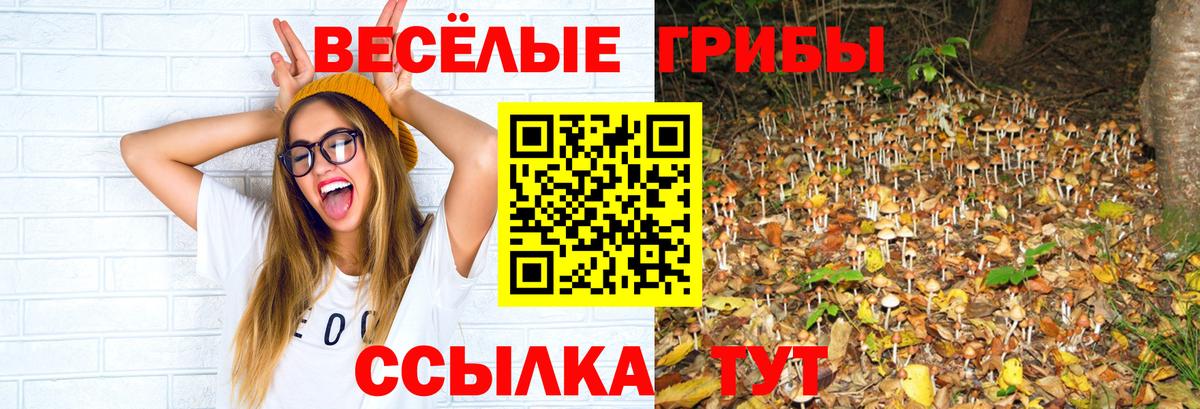 Псилоцибиновые грибы ЛСД Учалы