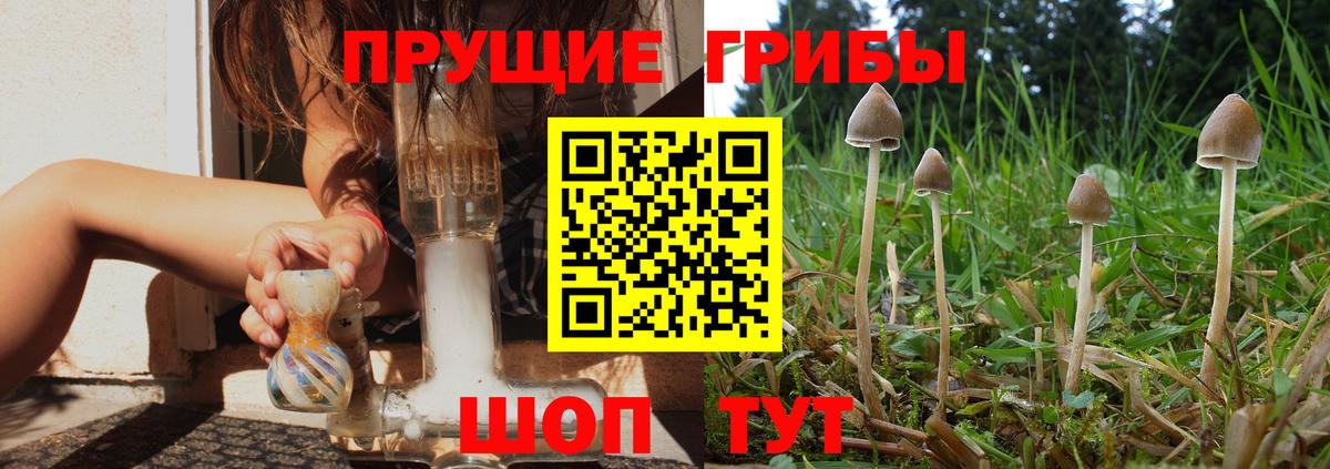 Псилоцибиновые грибы ЛСД  Учалы 