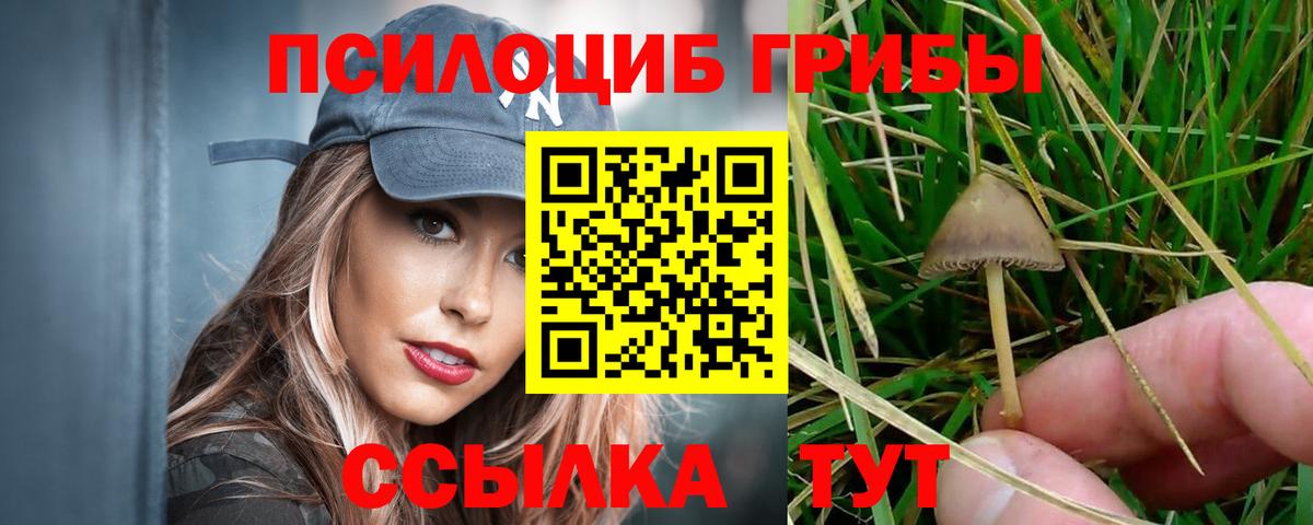 Учалы  Псилоцибиновые грибы MAGIC MUSHROOMS  наркотики  Вход с VPN 